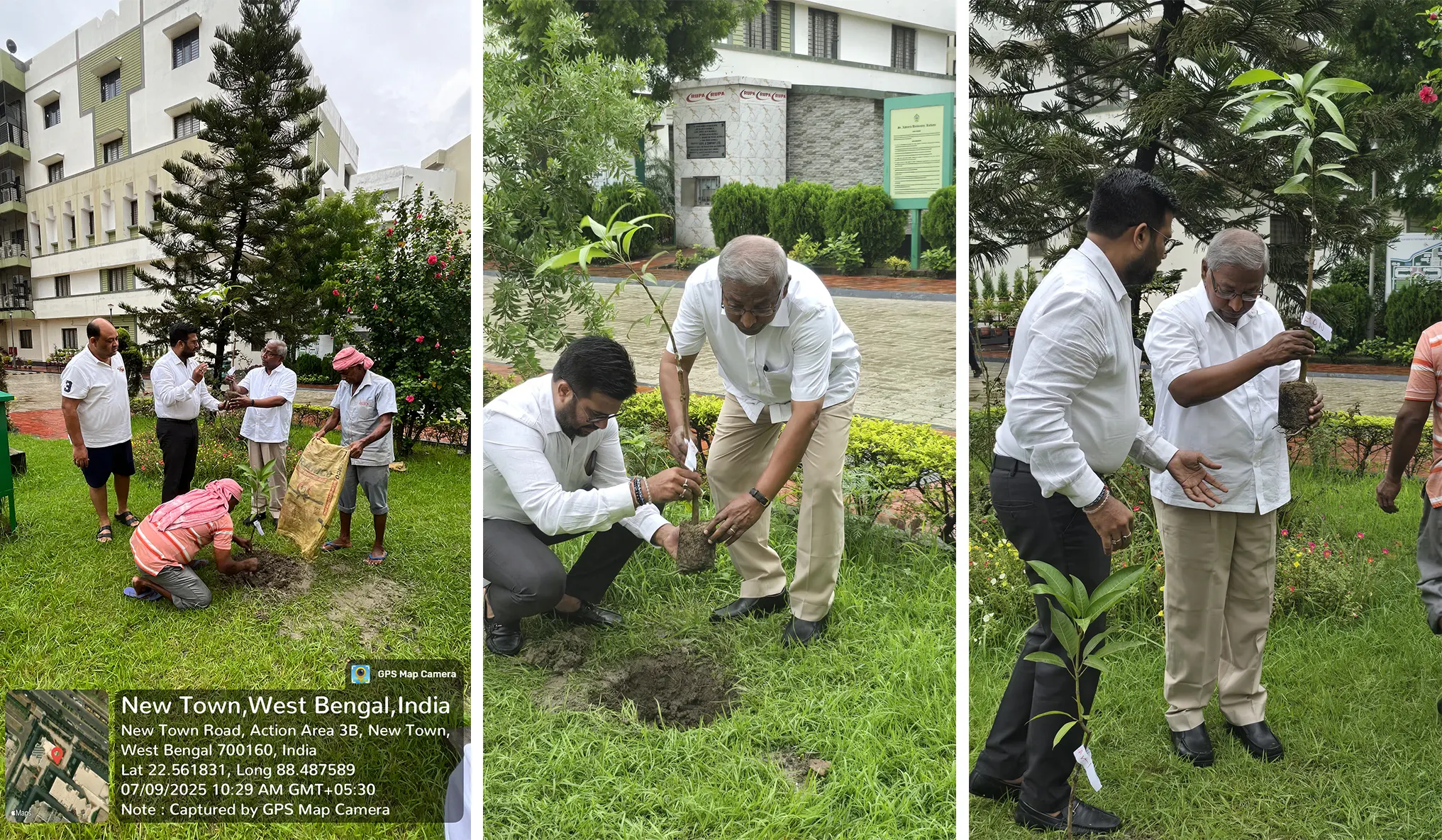 Mango Tree Plantation at SXUK
